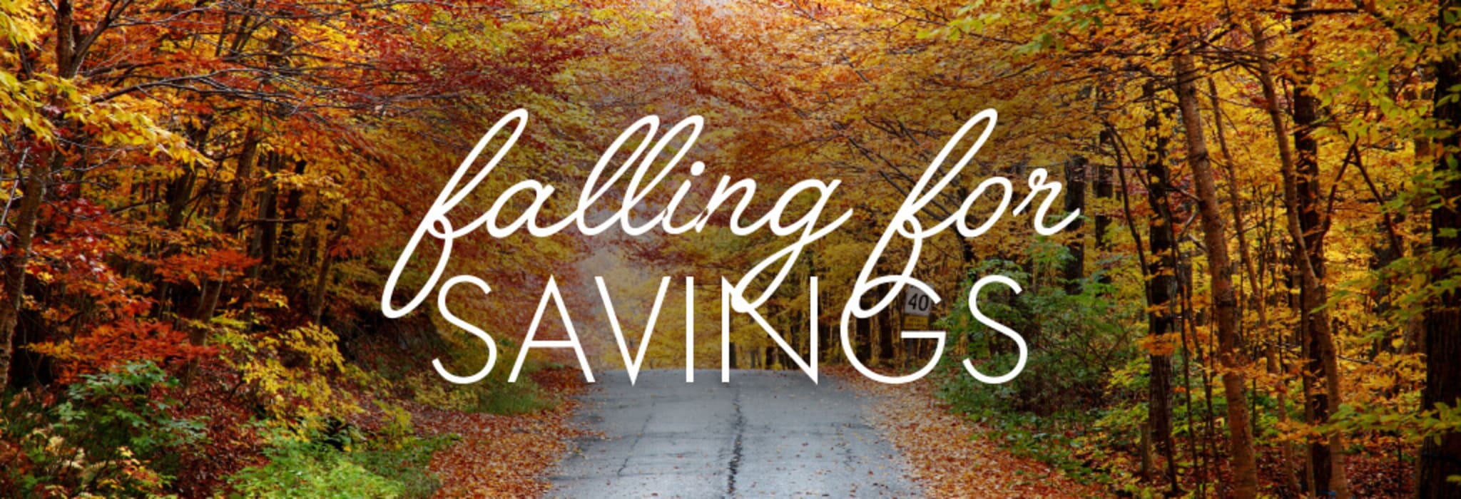 Falling For Savings banner
