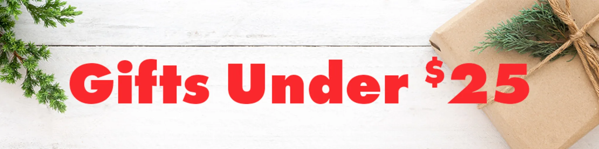 Gifts Under $25 banner