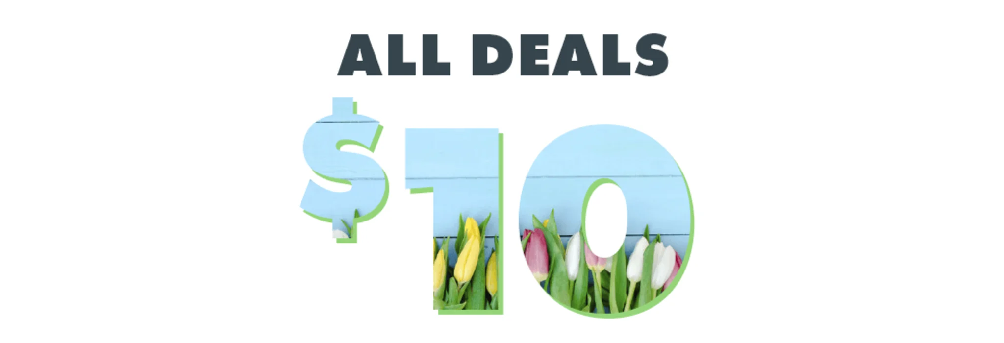 $10 Deals banner