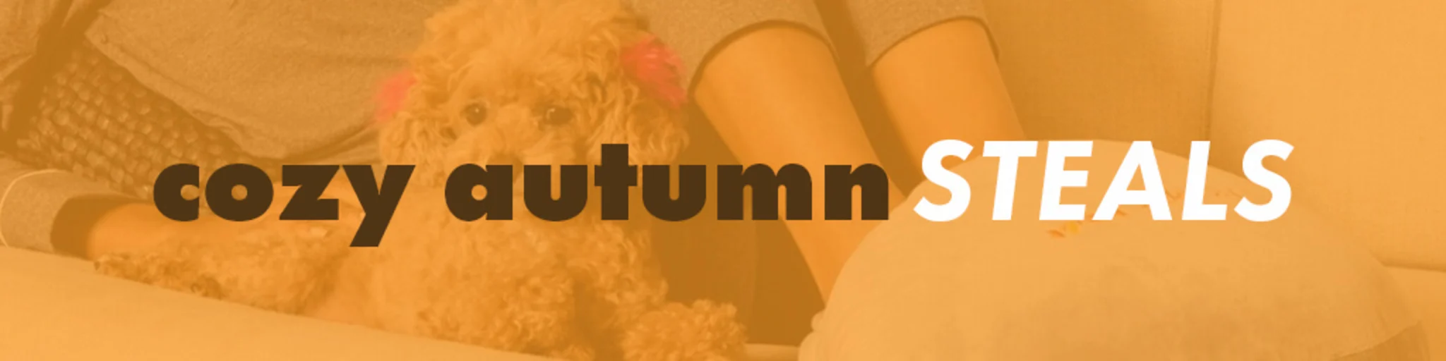 Cozy Autumn Steals banner