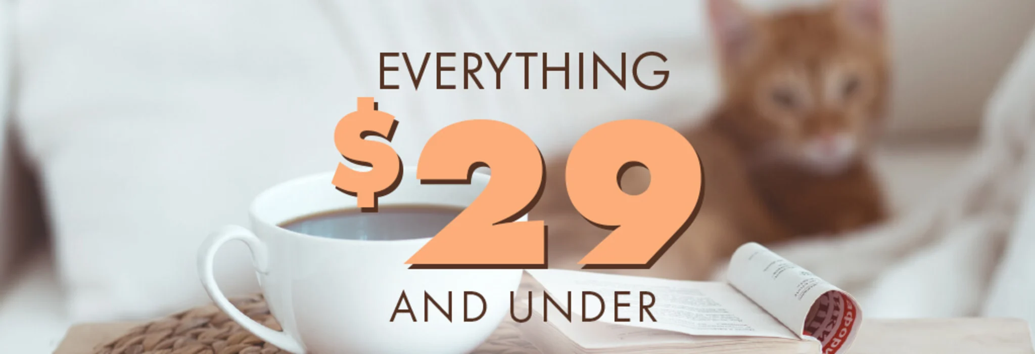 $29 and Under banner