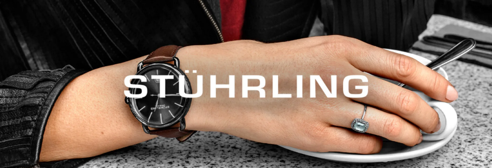 Men's Stührling Watches banner