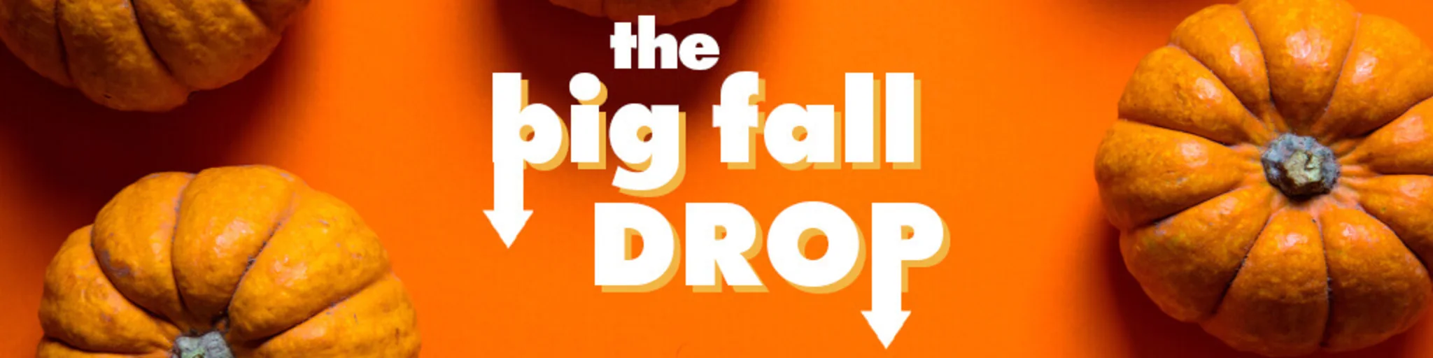 The Big Fall Drop banner
