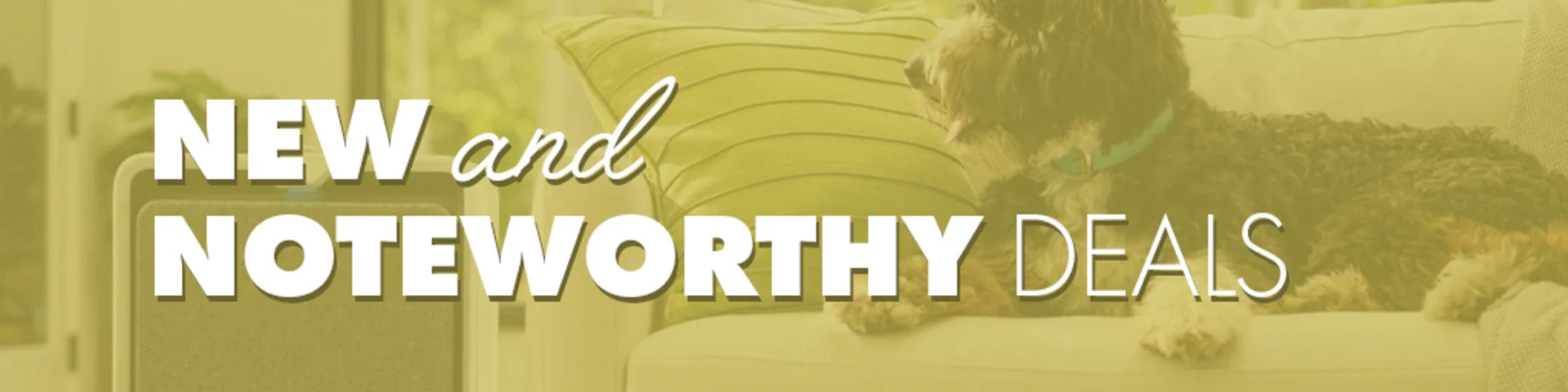 New & Noteworthy Deals banner