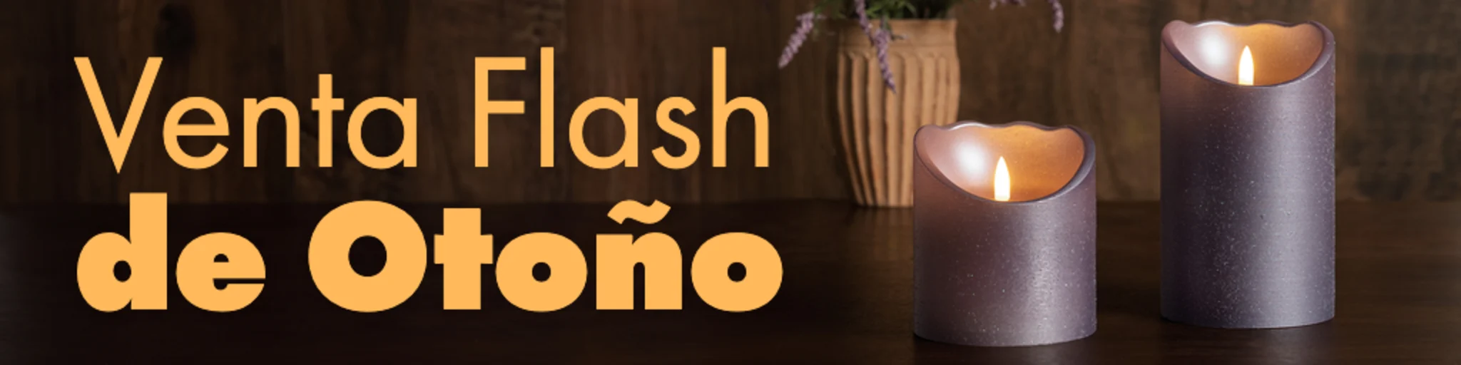 Venta Flash de Otoño banner