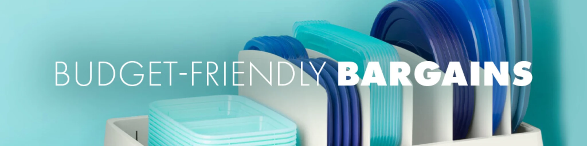 Budget-Friendly Bargains banner
