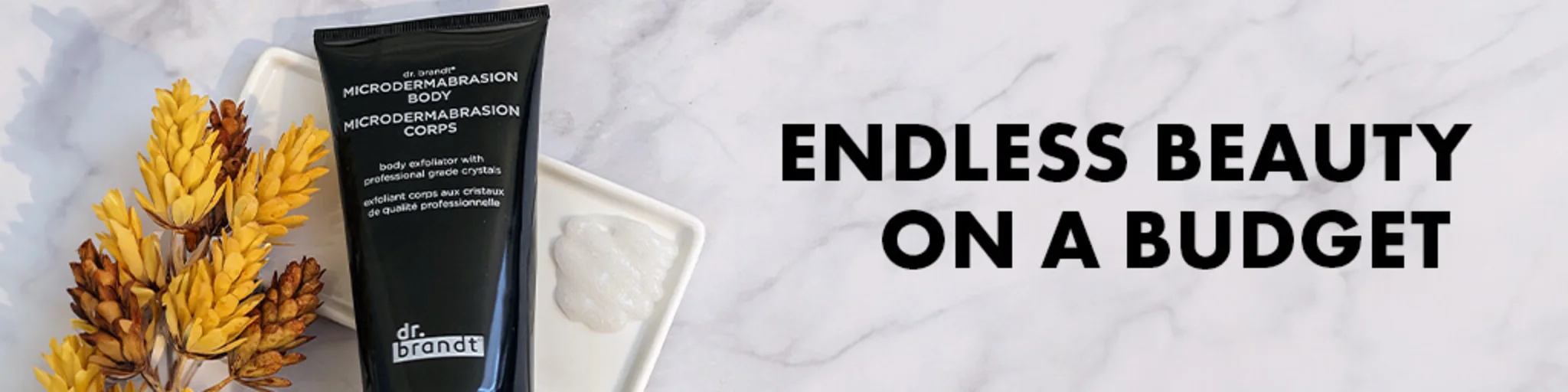 Endless Beauty on a Budget banner