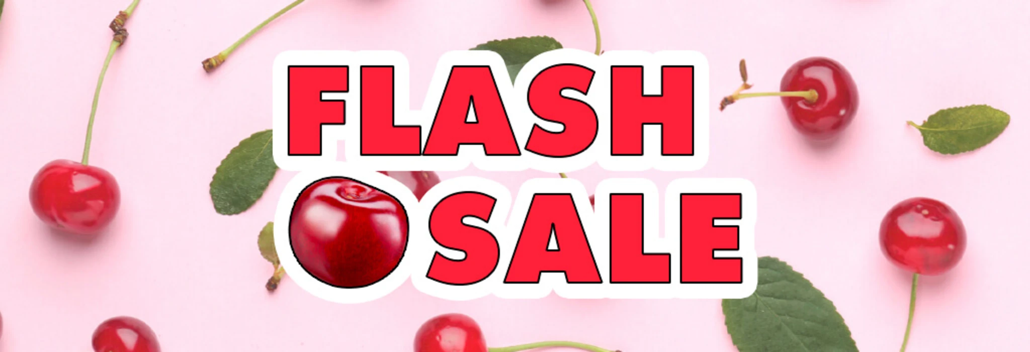 24-Hour Flash Sale banner