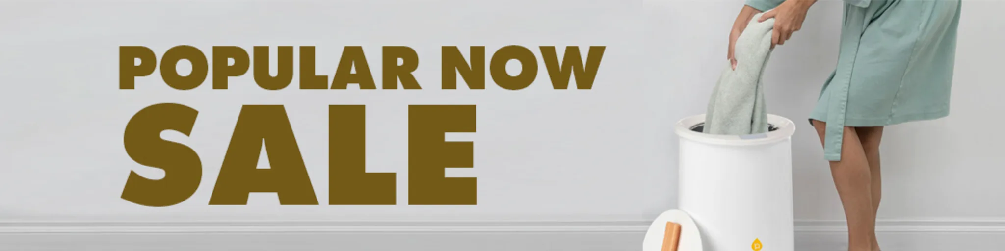 Popular Now Sale banner