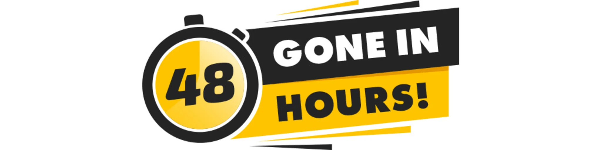 Gone in 48 Hours banner