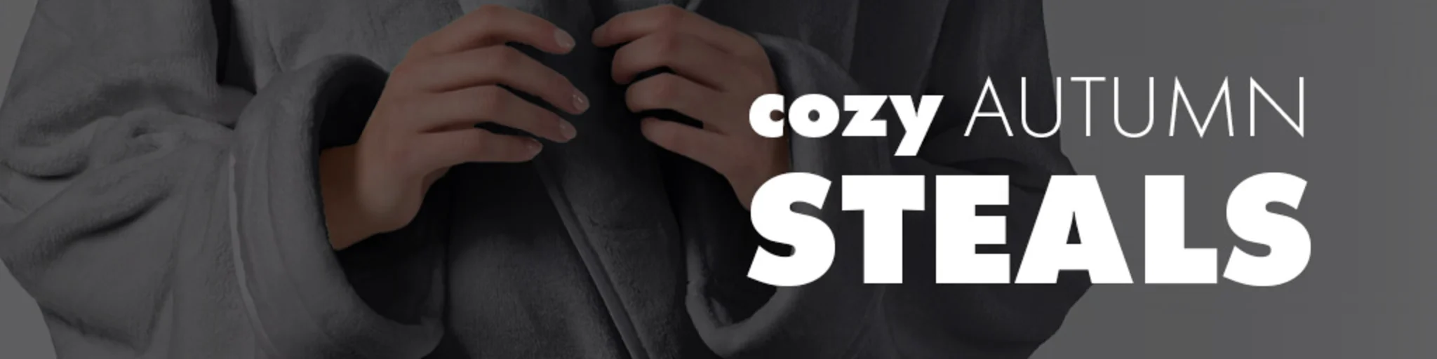 Cozy Autumn Steals banner