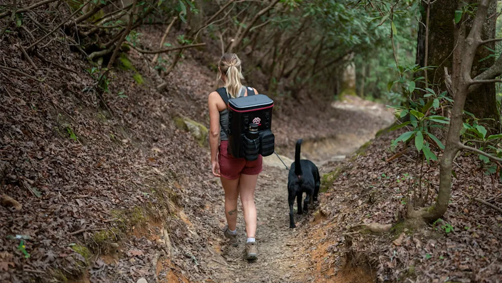 The World's Toughest Cooler Backpack