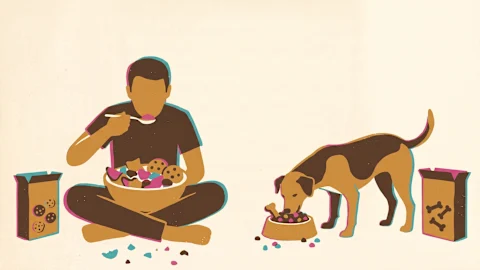 Stuff You (or Your Dog) Will Eat