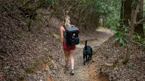 The World's Toughest Cooler Backpack