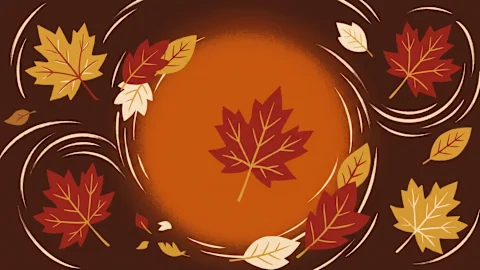 Fall Frenzy 24-Hour Flash Sale
