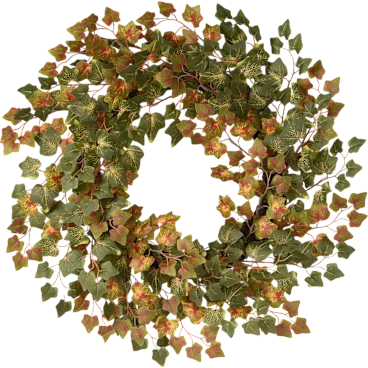 National Tree Company 24" Green Ivy Harvest Wreath