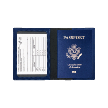 2Pack Ciana Passport  Vaccine Card Holder  Green