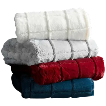 Chic Home Ultra Plush Throw Blanket with Micromink Backing