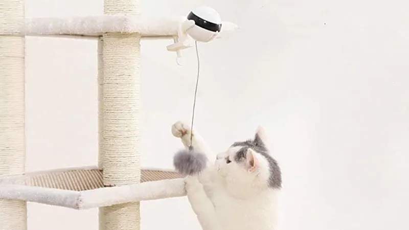 The Automatic Yo-Yo Cat Teaser Toy