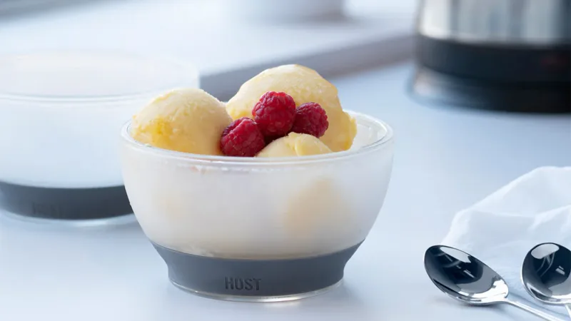 2-Pack: HOST Ice Cream Freeze Cooling Bowl Set