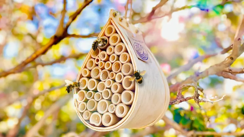 Touch Of ECO Outdoor Hanging Pollination Palace Bee House