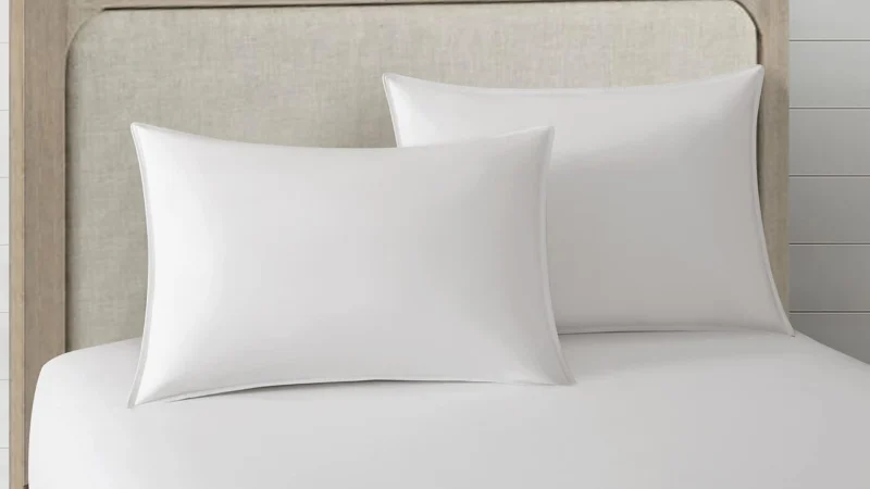 2-Pack: New York & Company Lux Down & Feather Cotton Pillows