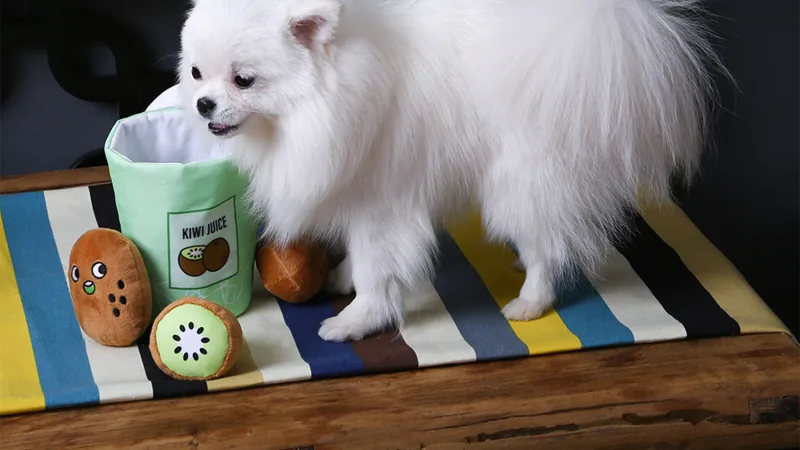3-Pack: HugSmart 3-In-1 Squeaky Hide & Seek Plush Dog Toys