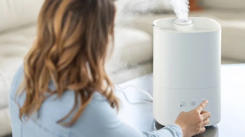 The Ultrasonic Cool Mist Humidifier