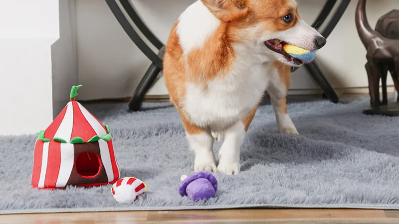 HugSmart Juguetes de Peluche para Perros 3 en 1 con Sonido y Escondite (Happy Circus)