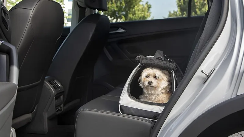 Sherpa Frame Crash-tested Travel Pet Carrier