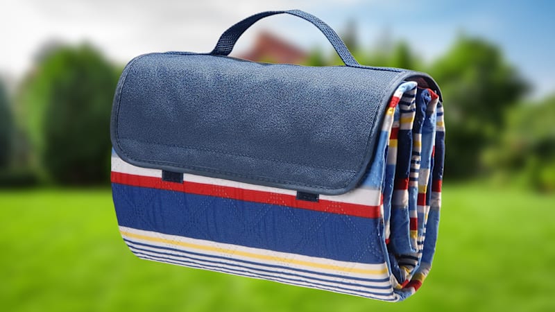 National Tree Company Cotton Polyester Stripe Picnic Blanket