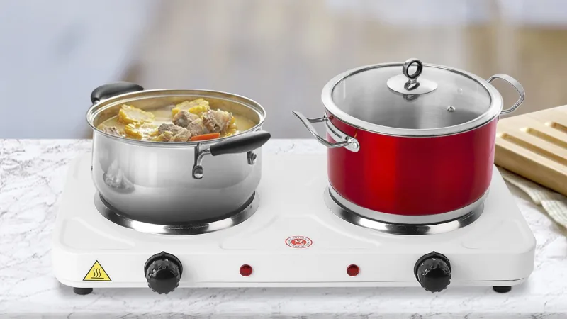 Fresh Fab Finds 2000W 5-Gear Portable Dual Electric Burner