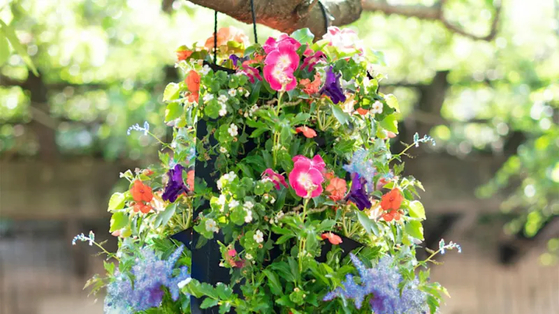Touch Of ECO Hanging Flower Seed Bag With Soil Block Kit