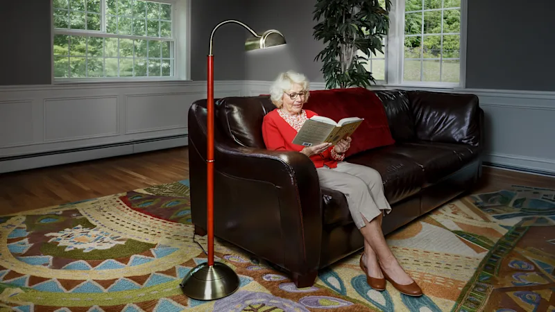 The Traditional Daylight 55W Floor Lamp