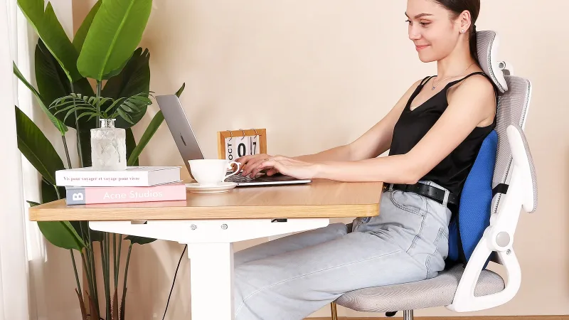 Lumbraze Ergonomic Back Relief & Lumbar Support Cushion