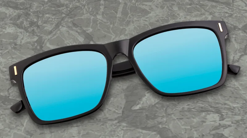 Breed Pictor Wayfarer Sunglasses