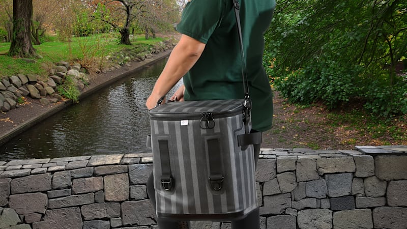 National Tree Company Luxury Stripe Waterproof Cooler