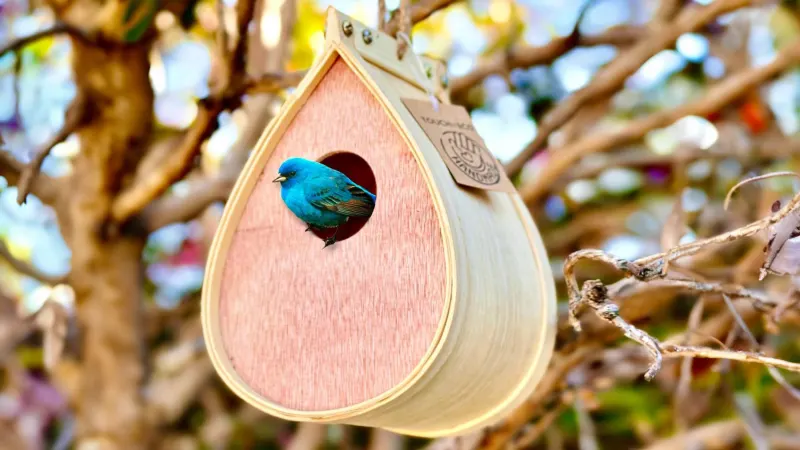 Touch Of ECO Pollinating Palace Outdoor Hanging Bird House