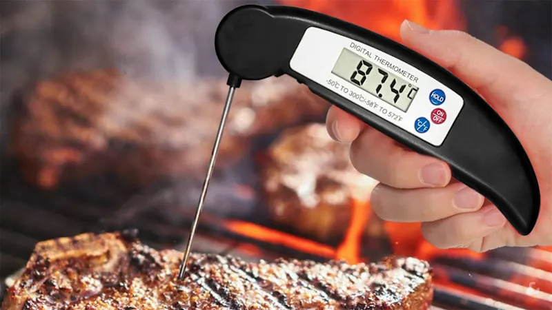 2-Pack: ProThermo Instant-Read Digital Meat Thermometers by Two Elephants