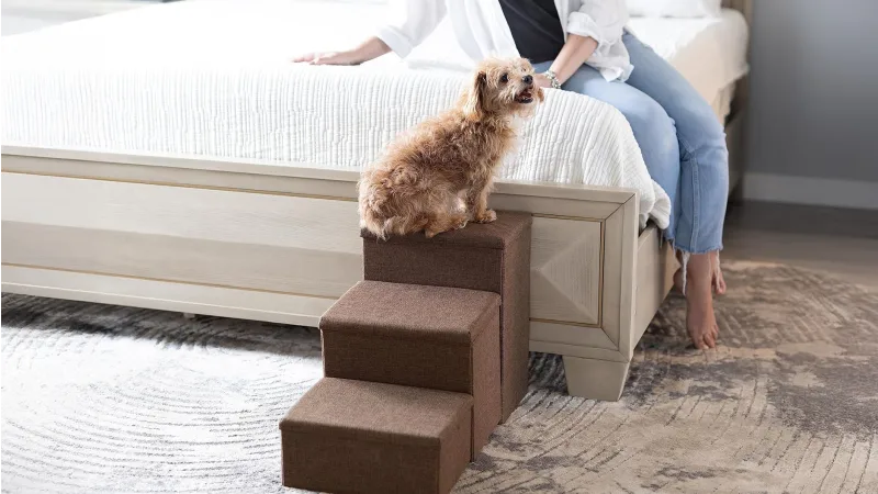 Tidy Niches Foldable Modular Pet Stairs