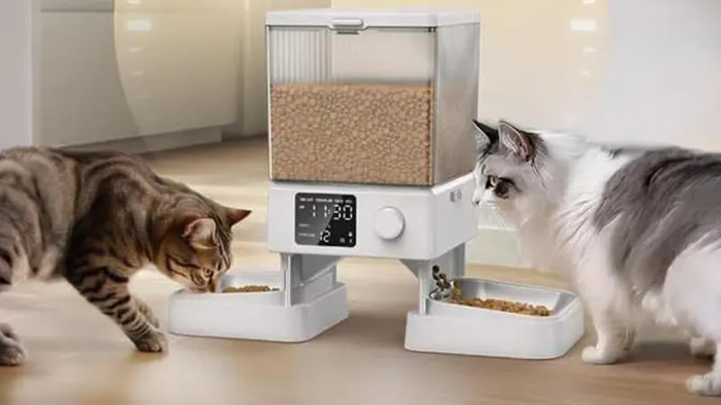 The Dual-Bowl Automatic Cat Feeder