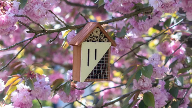 Touch Of ECO Pollination Palace Three Compartment Insect Hotel