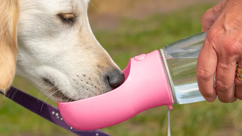 2-Pack: Titan Portable Pet Water Bottle Dispenser