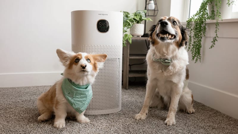 The Extra Large Room Smart Air Purifier