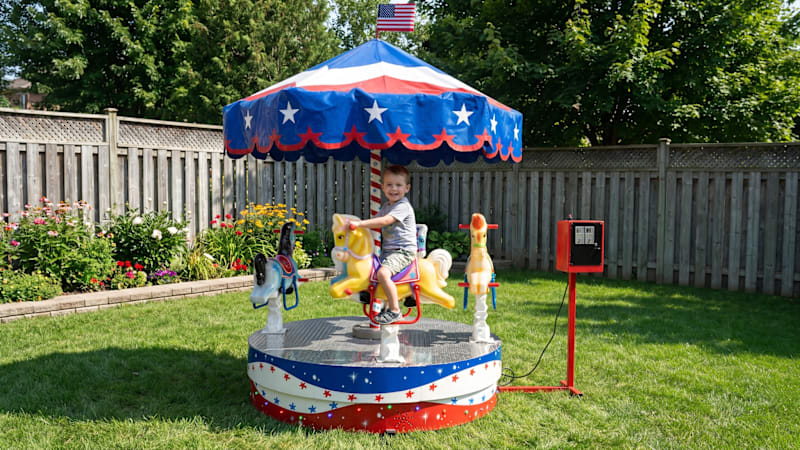 The Backyard Amusement Park Carousel