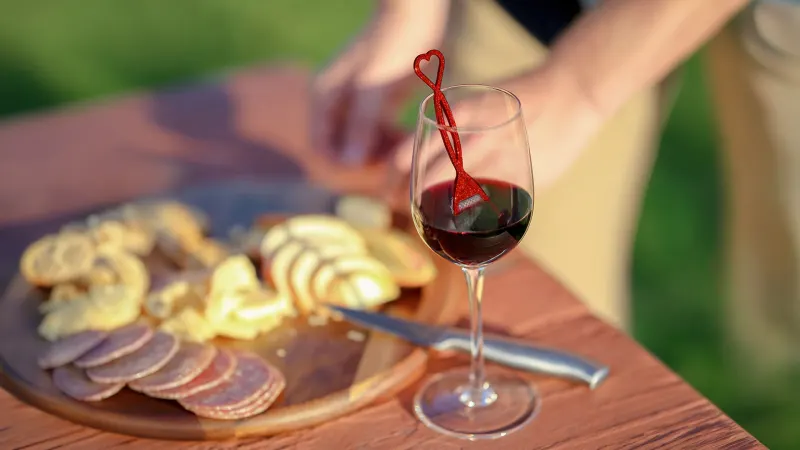 20-Pack: PureWine The Wand Wine Purifier