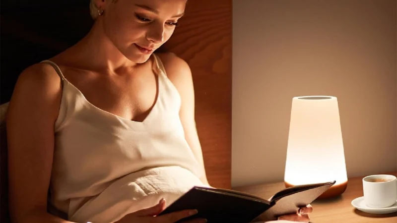 Hakol Dimmable Touch Lamp