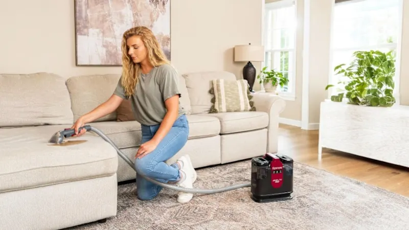 The Portable Spot Cleaner