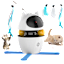 The 4-in-1 Interactive Cat Toy