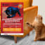 20-Pack: Panther Armor Cat Scratch Protector Double-Sided Sticky Tape